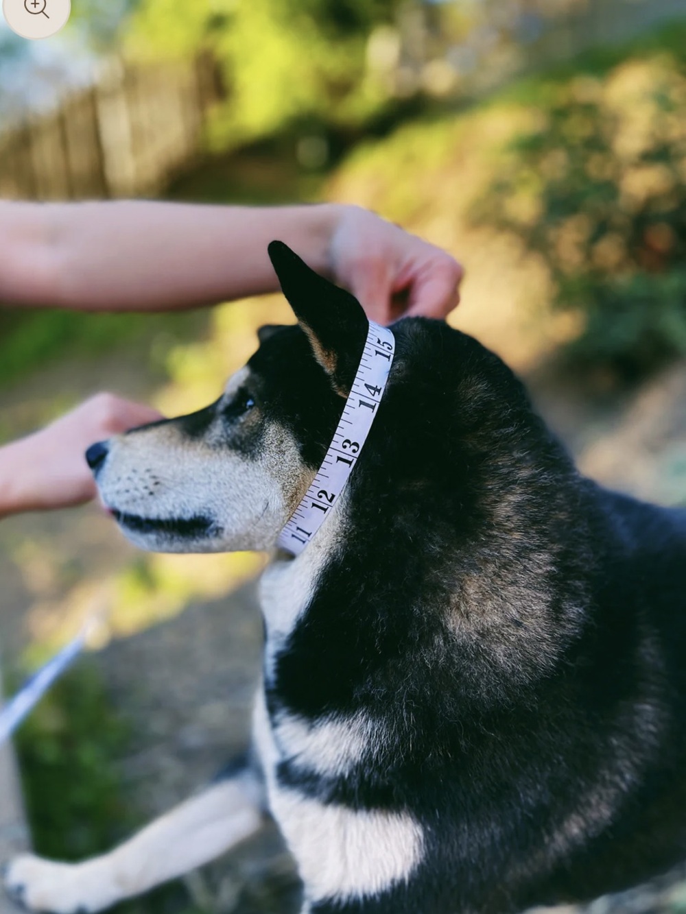 Litto Howler Rope Slip Collar - Picture 10 of 10